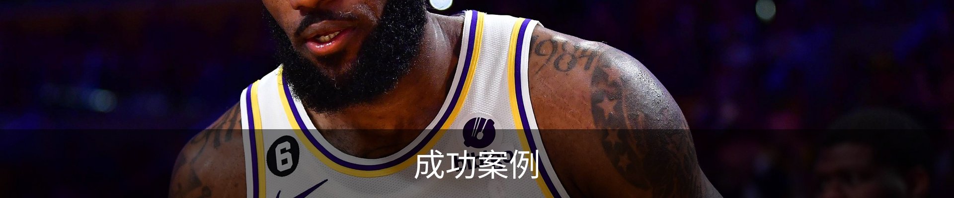 成功案例