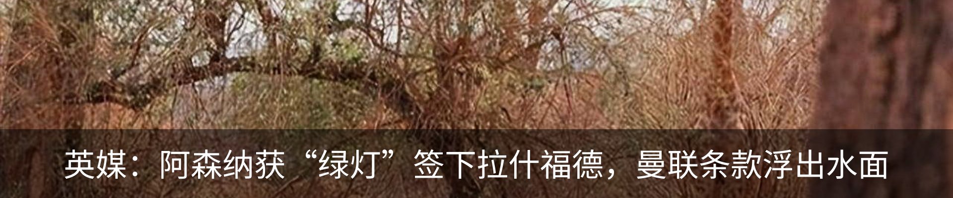 资讯动态